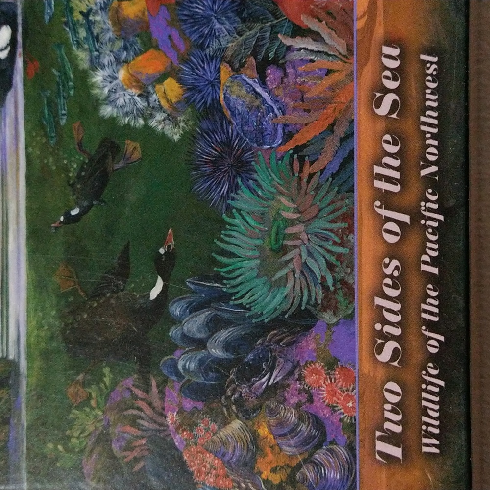 Jigsaw Puzzle Pacific Northwest "Two Sides of the Sea" 500pc